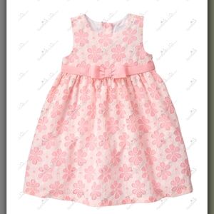 Gymboree Baby Girls' Toddler Pink Floral Lace Dress Sz 12-18 Mos.